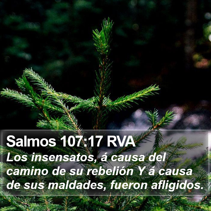 Salmos 107:17 RVA Bible Study