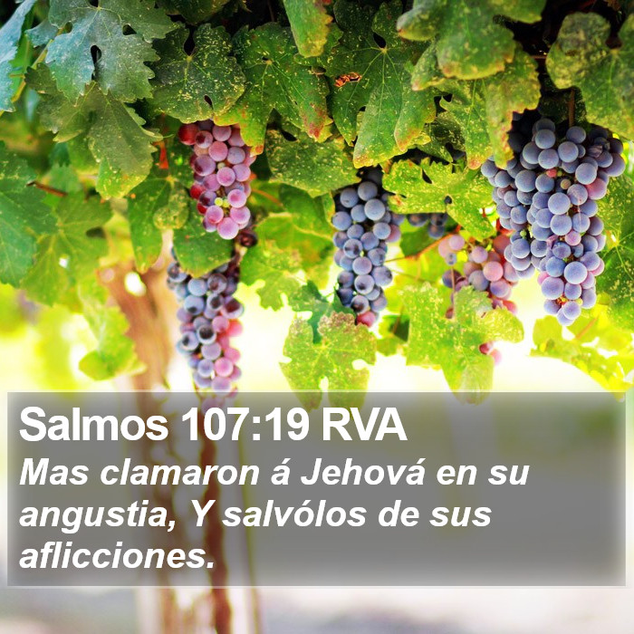 Salmos 107:19 RVA Bible Study