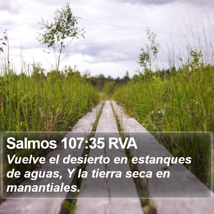 Salmos 107:35 RVA Bible Study