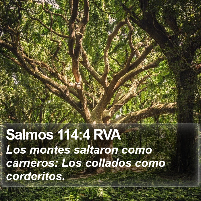 Salmos 114:4 RVA Bible Study