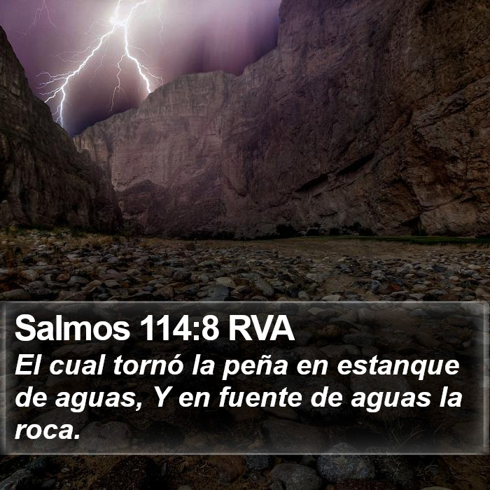 Salmos 114:8 RVA Bible Study