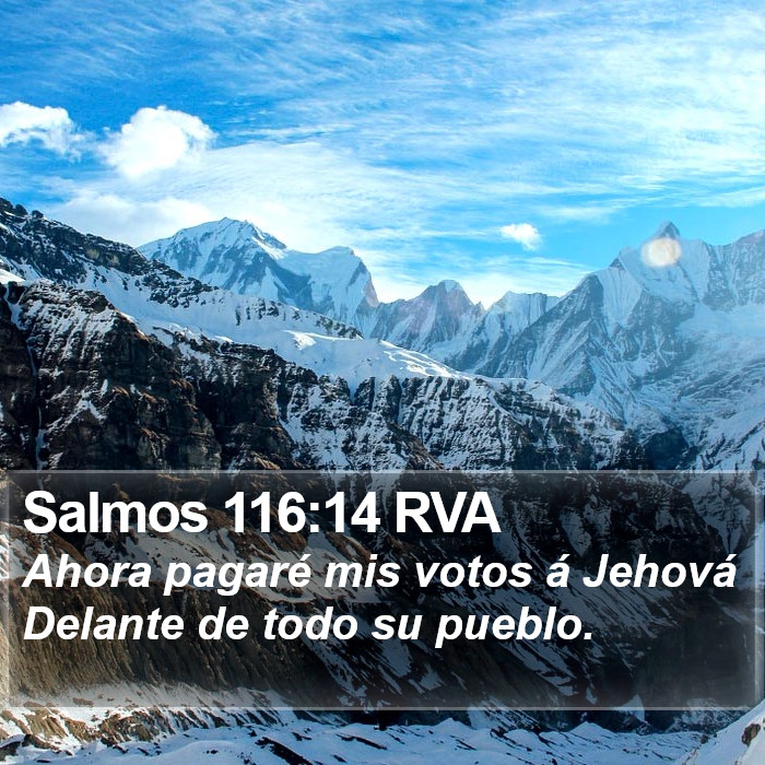 Salmos 116:14 RVA Bible Study