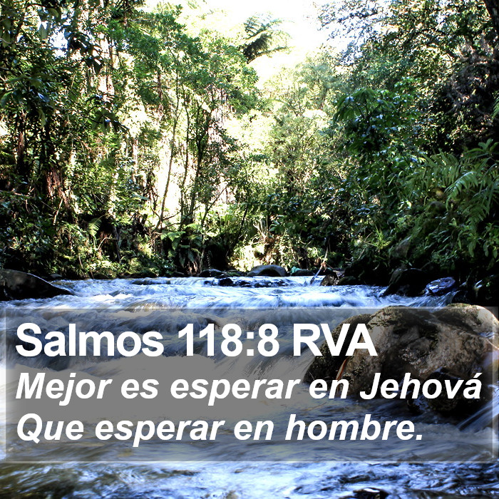 Salmos 118:8 RVA Bible Study