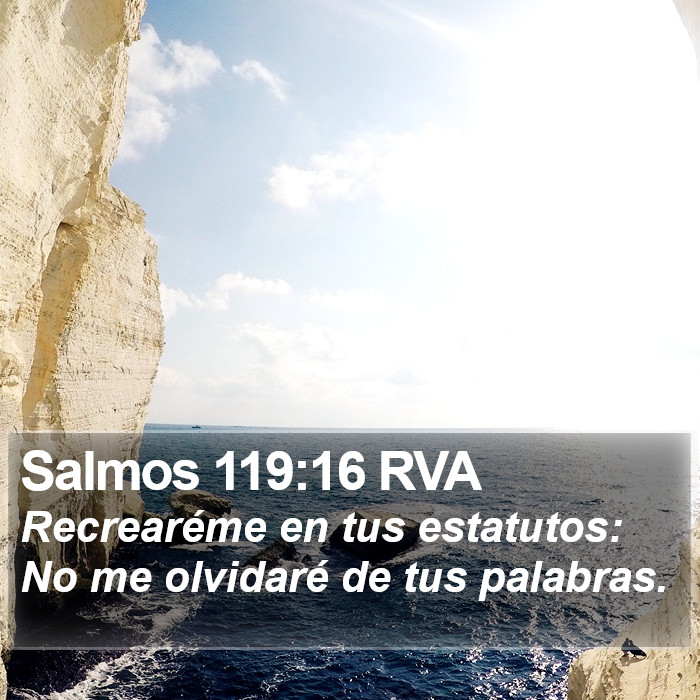 Salmos 119:16 RVA Bible Study