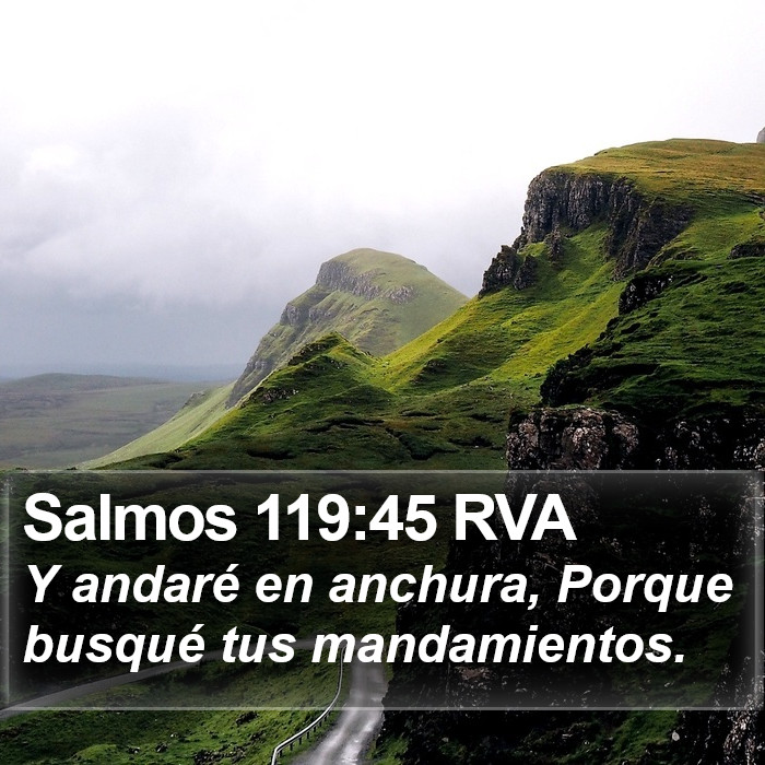 Salmos 119:45 RVA Bible Study