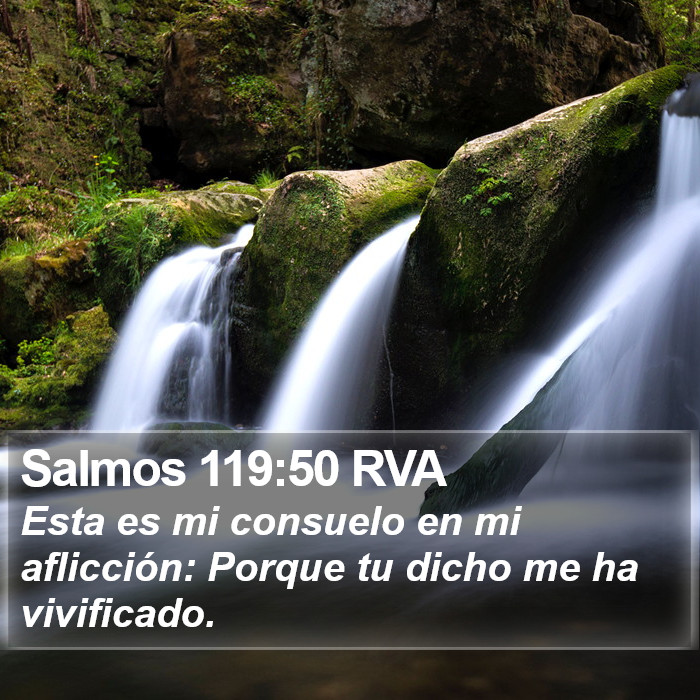 Salmos 119:50 RVA Bible Study