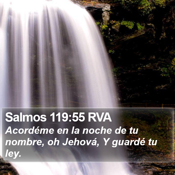 Salmos 119:55 RVA Bible Study