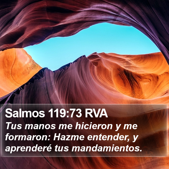 Salmos 119:73 RVA Bible Study