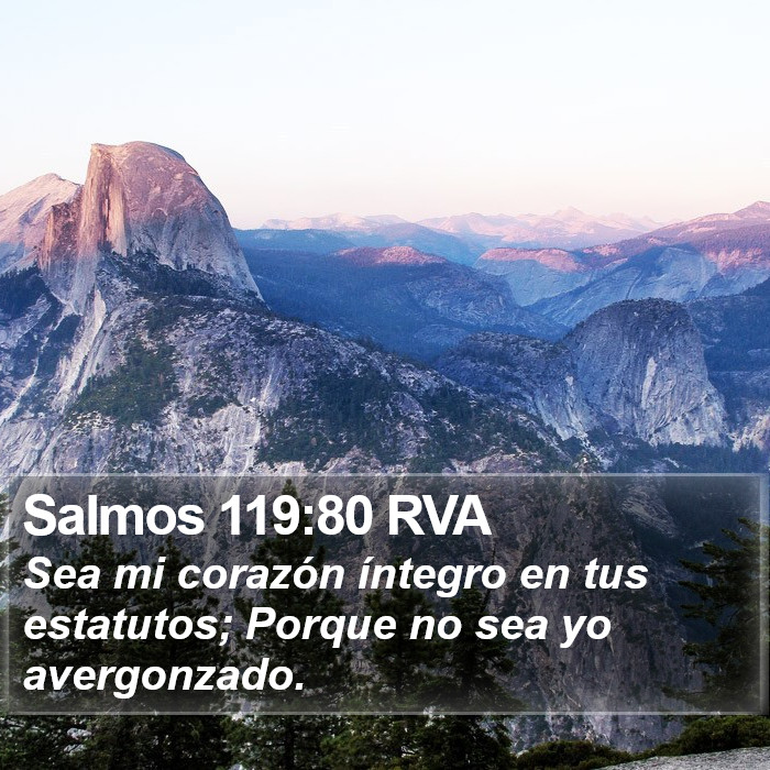 Salmos 119:80 RVA Bible Study