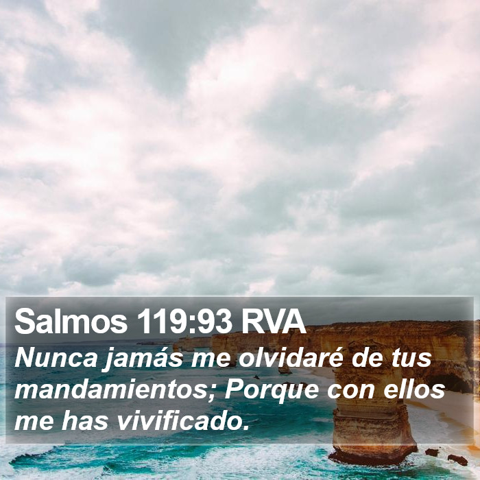 Salmos 119:93 RVA Bible Study