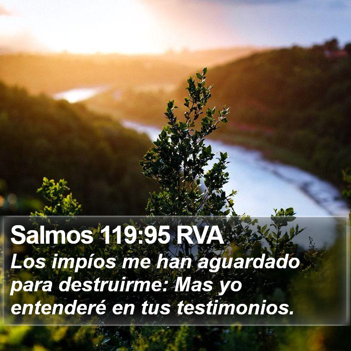 Salmos 119:95 RVA Bible Study