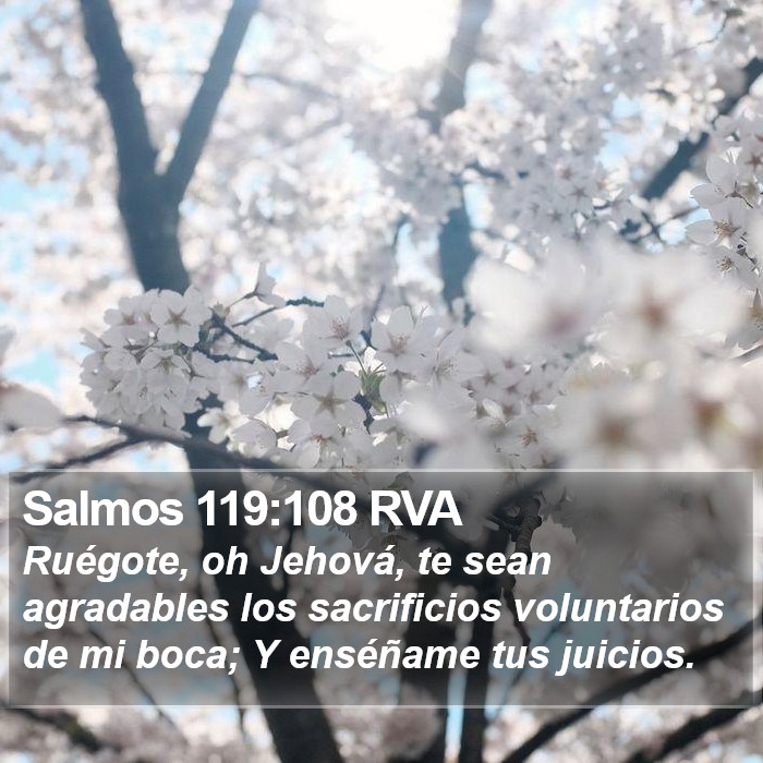 Salmos 119:108 RVA Bible Study