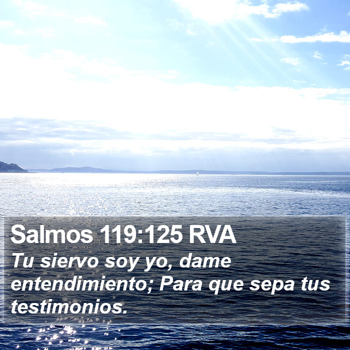 Salmos 119:125 RVA Bible Study