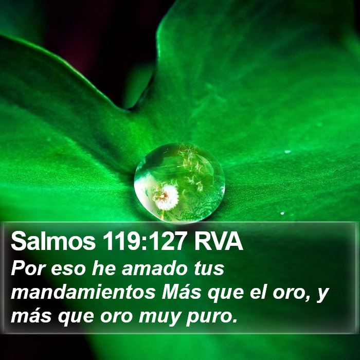 Salmos 119:127 RVA Bible Study