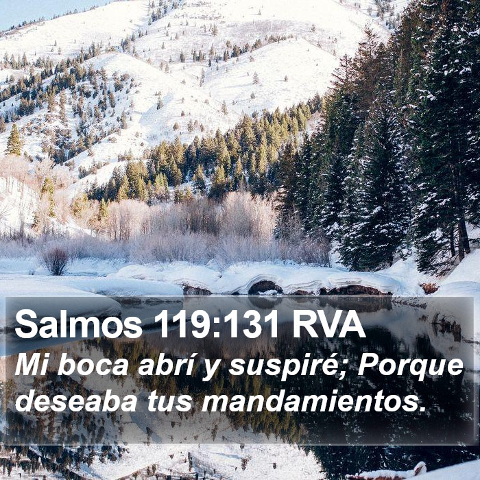 Salmos 119:131 RVA Bible Study