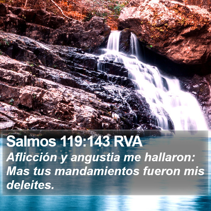 Salmos 119:143 RVA Bible Study