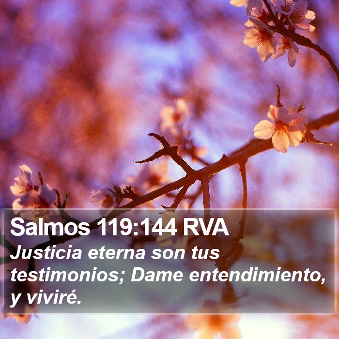 Salmos 119:144 RVA Bible Study