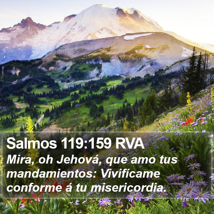 Salmos 119:159 RVA Bible Study