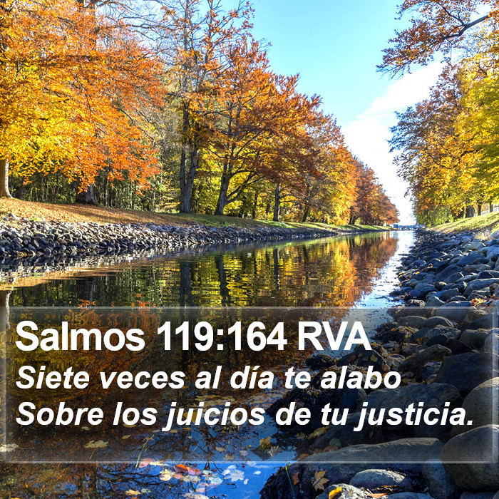 Salmos 119:164 RVA Bible Study