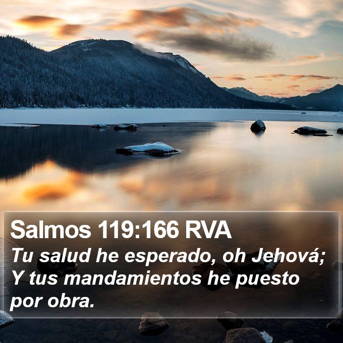 Salmos 119:166 RVA Bible Study