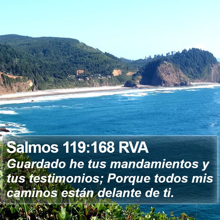 Salmos 119:168 RVA Bible Study