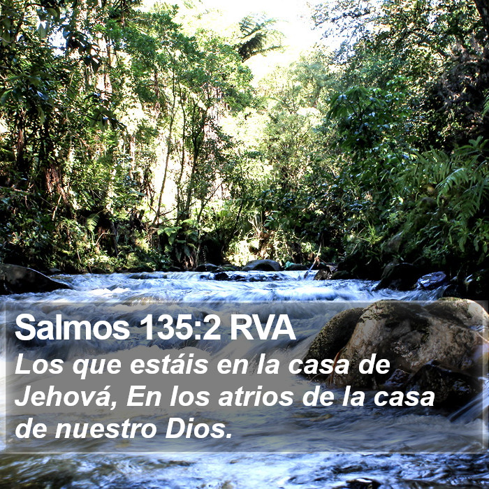 Salmos 135:2 RVA Bible Study