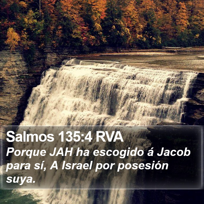 Salmos 135:4 RVA Bible Study