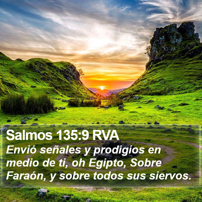 Salmos 135:9 RVA Bible Study