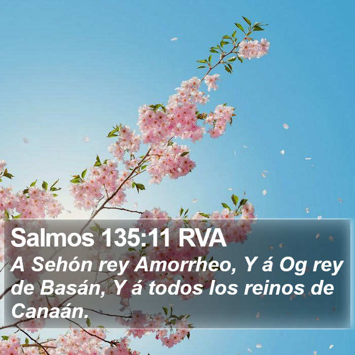 Salmos 135:11 RVA Bible Study