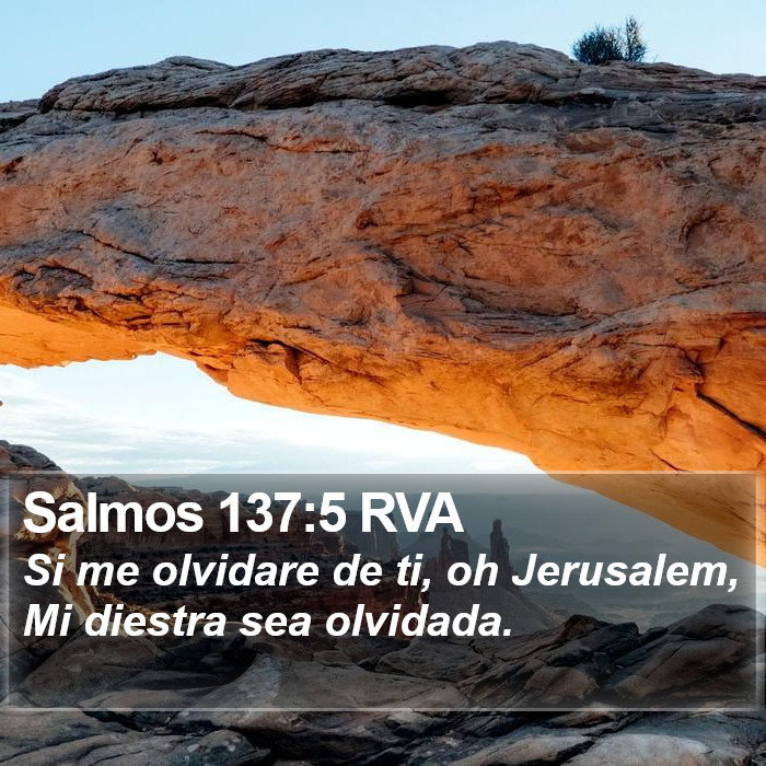 Salmos 137:5 RVA Bible Study