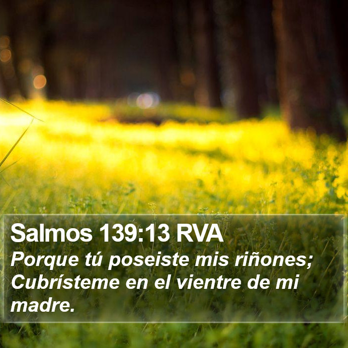 Salmos 139:13 RVA Bible Study