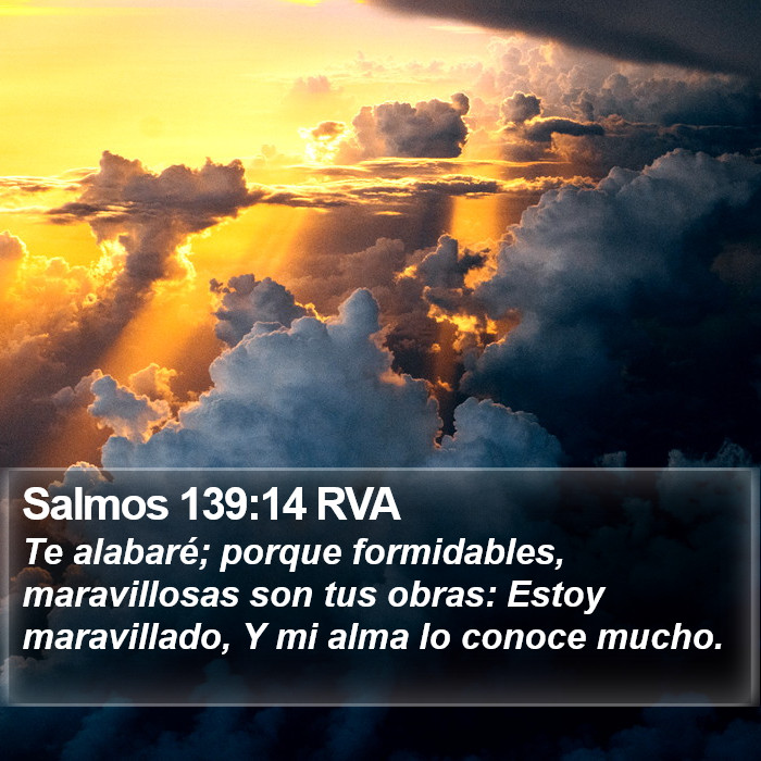 Salmos 139:14 RVA Bible Study