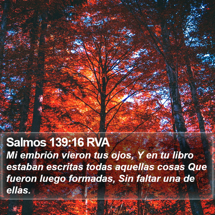 Salmos 139:16 RVA Bible Study