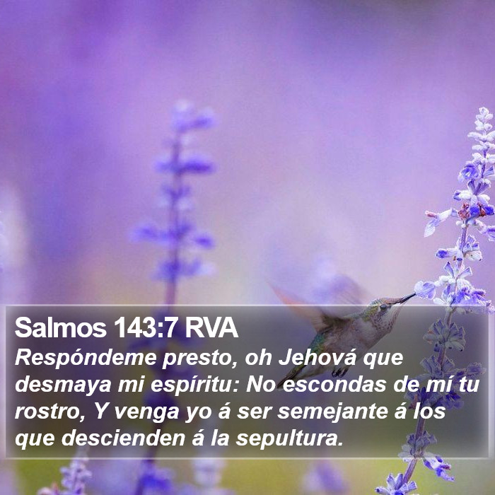 Salmos 143:7 RVA Bible Study