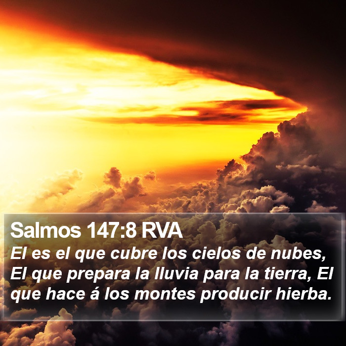 Salmos 147:8 RVA Bible Study