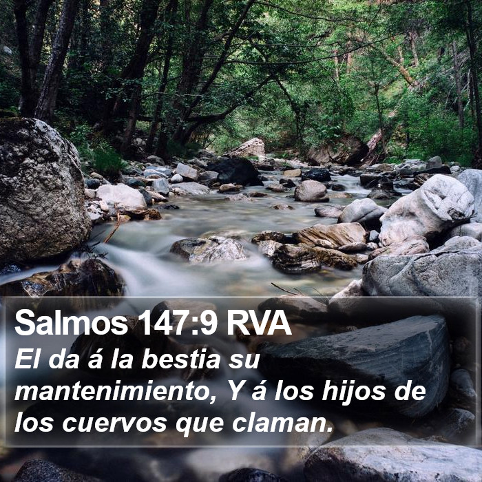 Salmos 147:9 RVA Bible Study