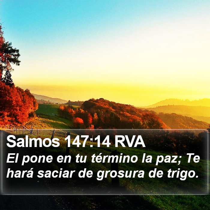 Salmos 147:14 RVA Bible Study