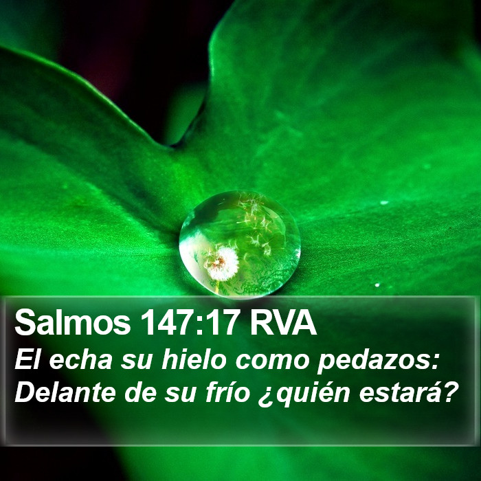 Salmos 147:17 RVA Bible Study