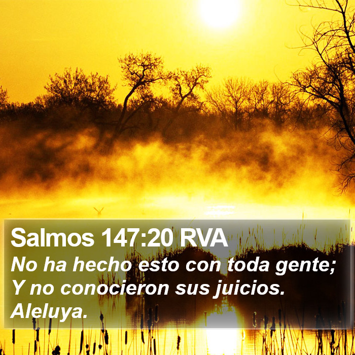 Salmos 147:20 RVA Bible Study