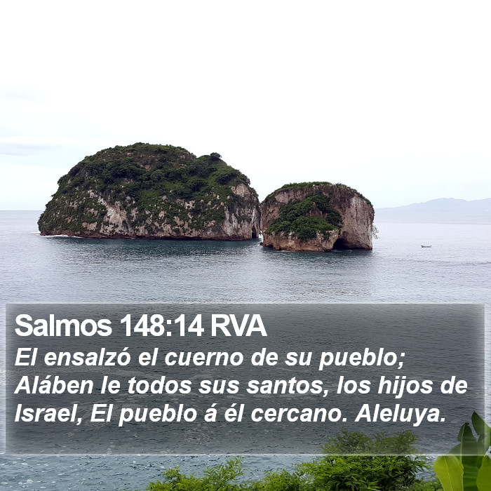 Salmos 148:14 RVA Bible Study