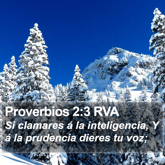 Proverbios 2:3 RVA Bible Study