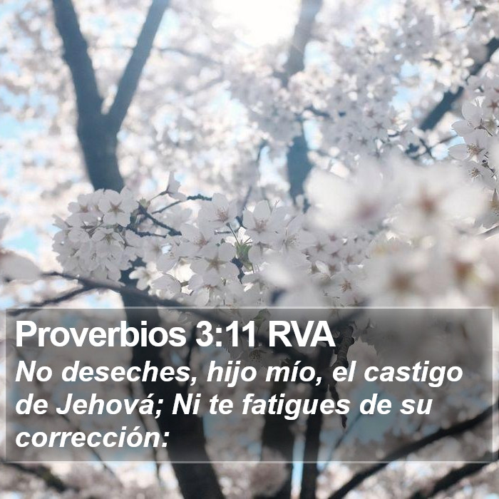 Proverbios 3:11 RVA Bible Study