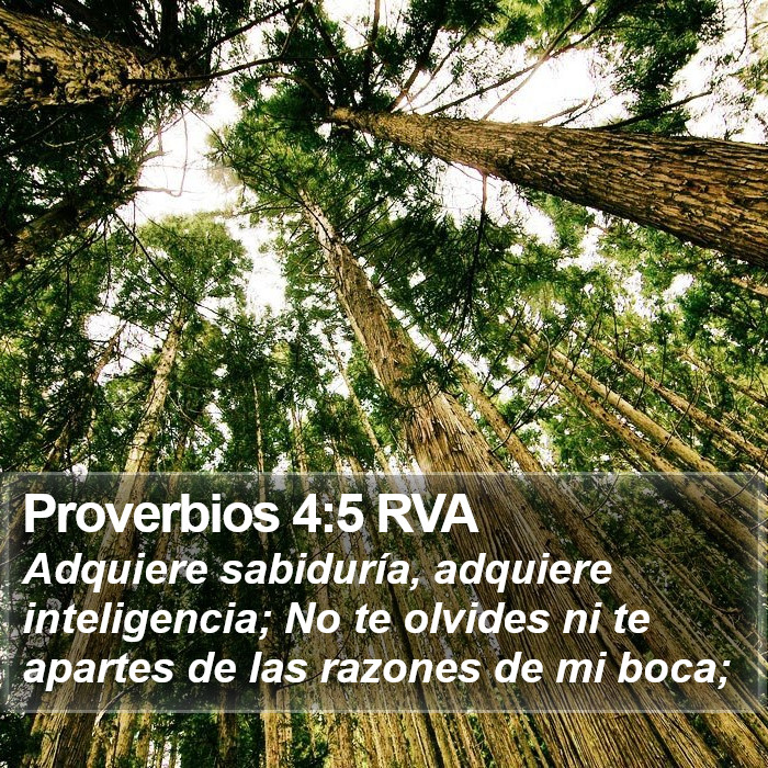 Proverbios 4:5 RVA Bible Study