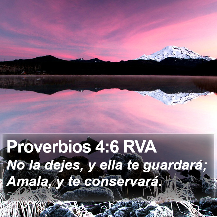 Proverbios 4:6 RVA Bible Study