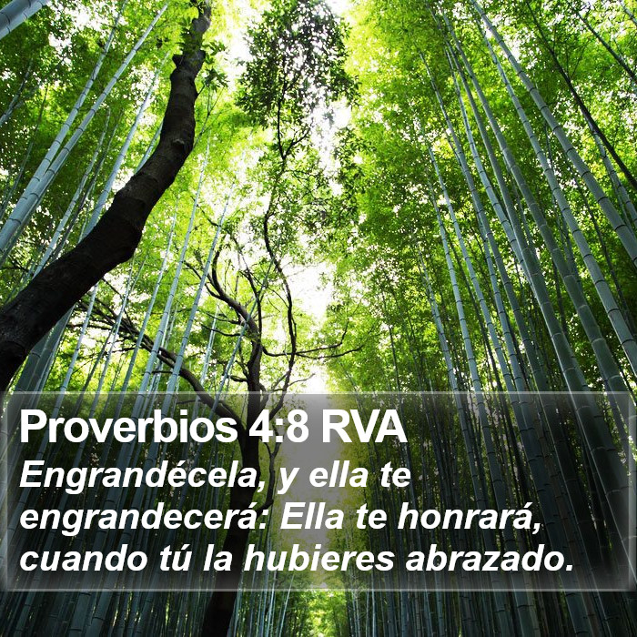 Proverbios 4:8 RVA Bible Study