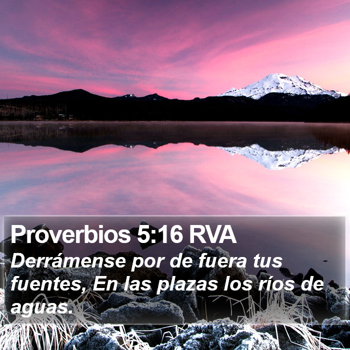 Proverbios 5:16 RVA Bible Study