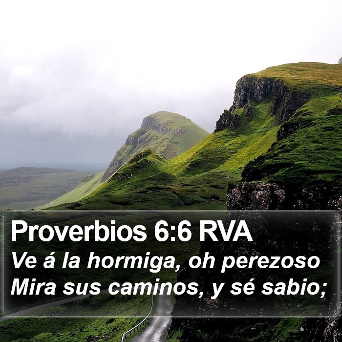 Proverbios 6:6 RVA Bible Study