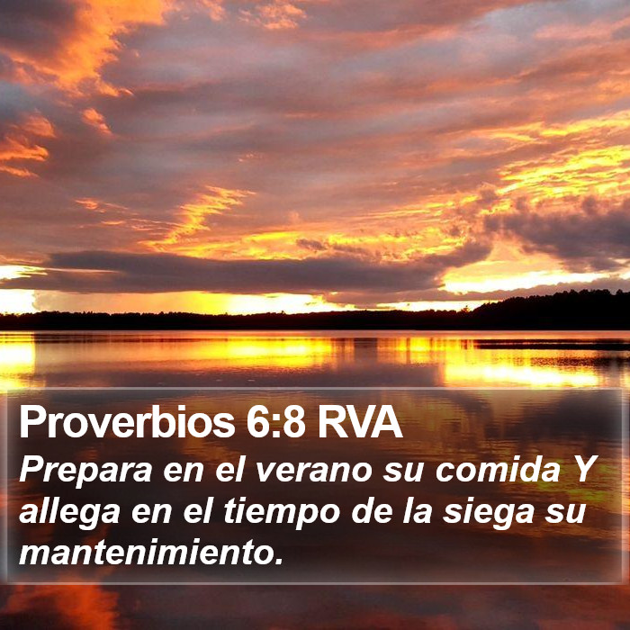 Proverbios 6:8 RVA Bible Study