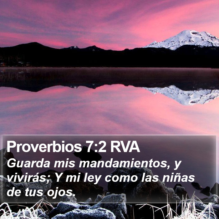 Proverbios 7:2 RVA Bible Study