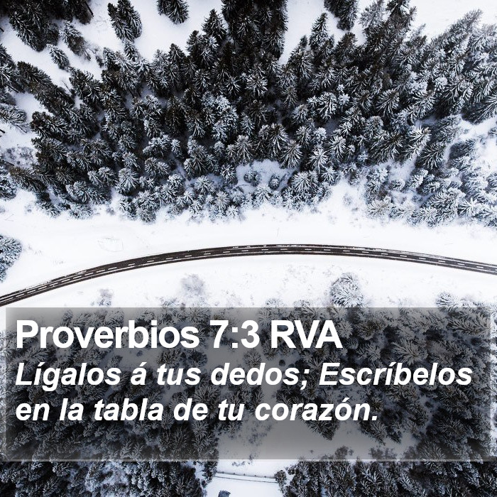 Proverbios 7:3 RVA Bible Study